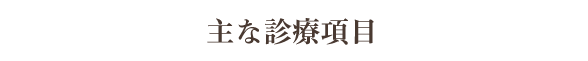 主な診療項目